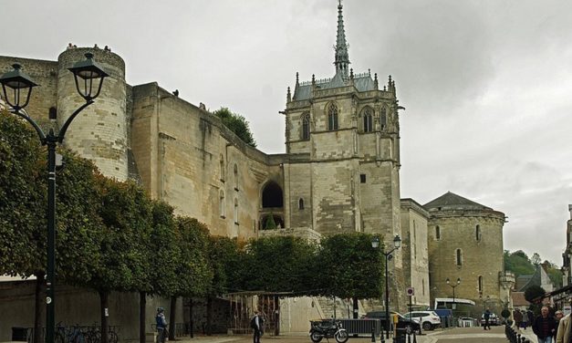 De vijf mooiste kastelen van de Loirestreek